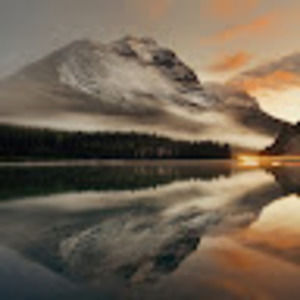 Meet your Posher, Carl